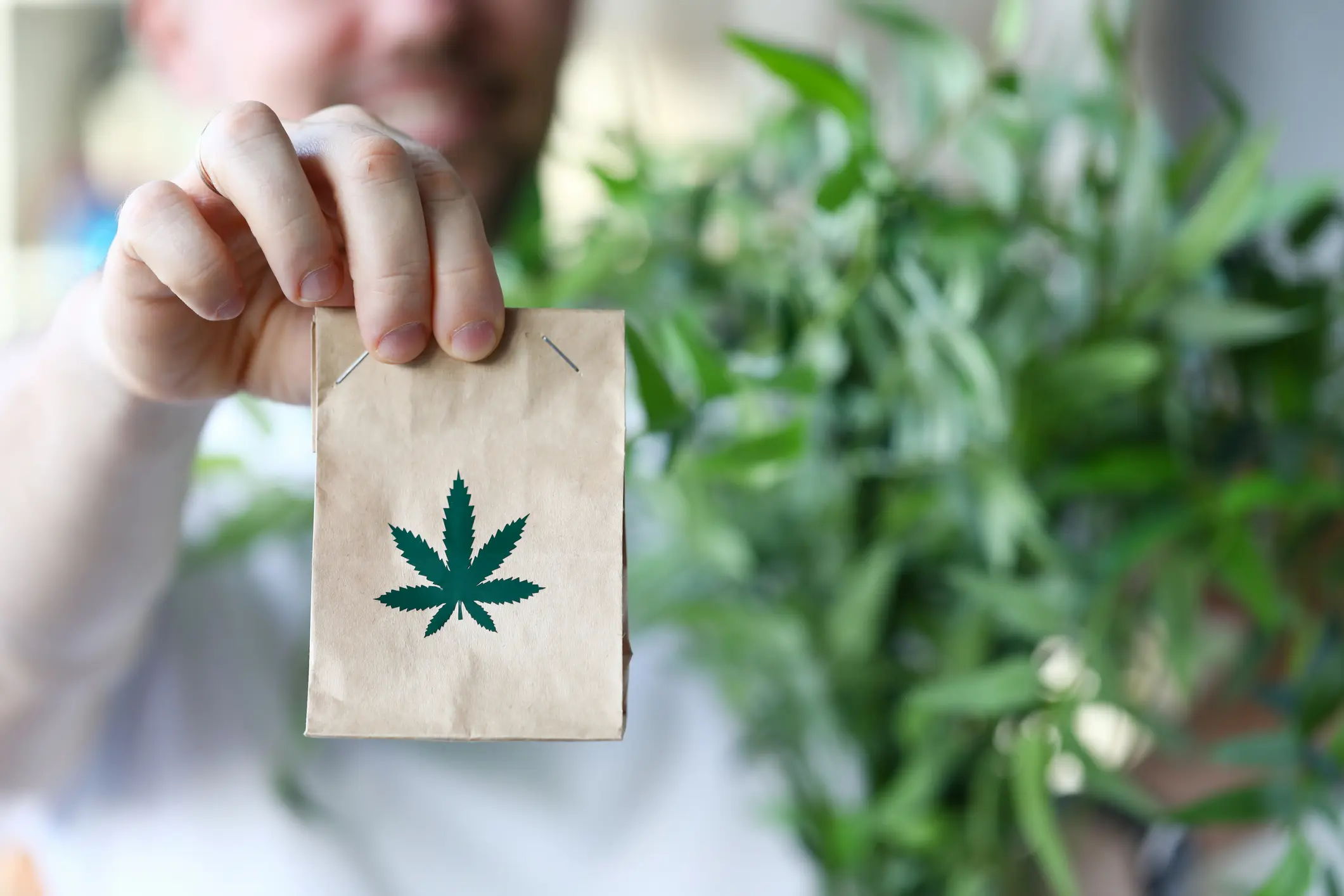 Quick and Convenient Weed Delivery Halifax Services Tailored for You